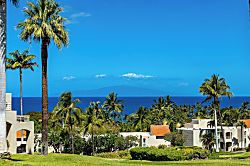 Palms at Wailea 303