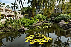 Palms at Wailea 1704