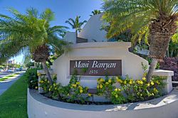 Maui Banyan H502