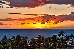 Beach Villas at Ko Olina B-702