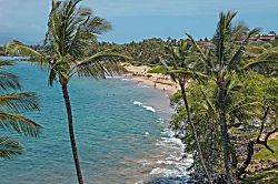 Maui Parkshore 302