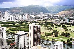 Waikiki Banyan#3502-I