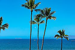 Sugar Beach Resort 301