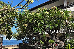 Casa De Emdeko A108 - Property grounds