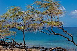 Kamaole Sands Resort #6309