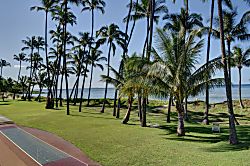Hale Kai O'Kihei 219