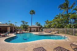 Maui Banyan Q-104