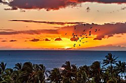 Beach Villas at Ko Olina  Ocean Tower 302
