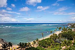 Waikiki Shore 1008