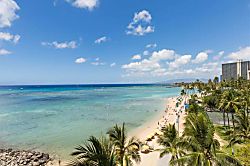 Waikiki Shore 600