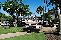 Kauhale Makai AC - Many gas grills and picnic tables to enjoy