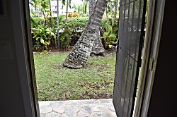 Harrigan's Kona Shores