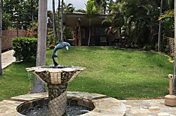 Harrigan's Kona Shores