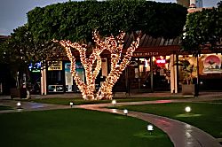 Sugar Beach Resort Condo