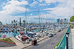 Ilikai Apartment #1624