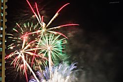 Ilikai Apartment #730