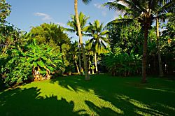 Hana Ocean Palms Bungalow