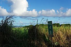 Hana Ocean Palms Bungalow