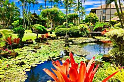 Pono Kai Resort F204