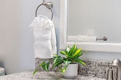 Waikiki Banyan 710 T1