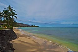 The Sand Dollar Cottage