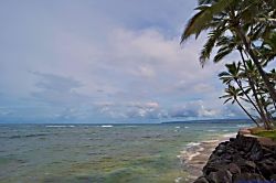 The Sand Dollar Cottage