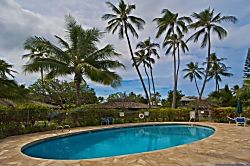 The Sand Dollar Cottage