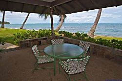 The Sand Dollar Cottage