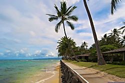 The Sand Dollar Cottage