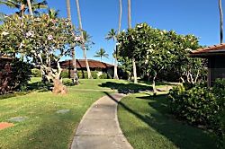 The Sand Dollar Cottage