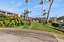 Maui Parkshore 110