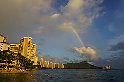 Waikiki Shore 805