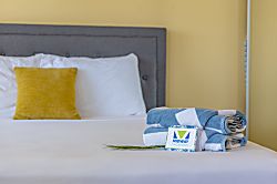 Waikiki Banyan 1910 T2