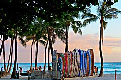 Kuhio Village Tower #1 