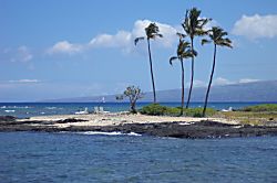 Mauna Lani Terrace F102 