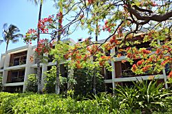 Mauna Lani Terrace F102 