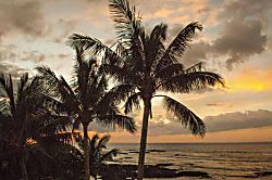 Hale Ama, Puako Hawaii