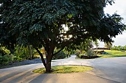Island Sunset Villa, Maui
