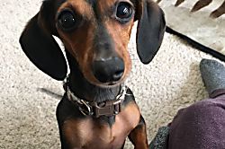 Ohana Place at Punahele