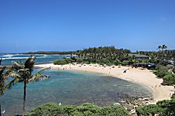 Turtle Bay #88