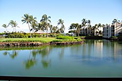 Mauna Lani Terrace F101