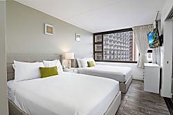 Waikiki Banyan 1804 T1