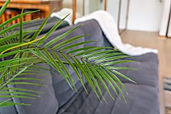 Waikiki Banyan 2205 T2