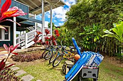 Hale Ka Mahina TVNC-1115