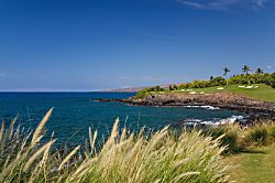 Waiulaula Ridge N102