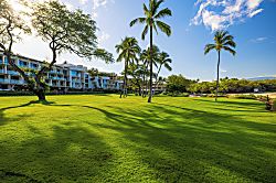 Waiulaula Ridge N102