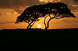 Kauai Beach Villas E4