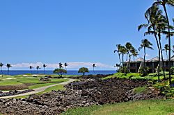 Dancing Dolphins Point