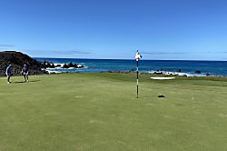 Dancing Dolphins Point