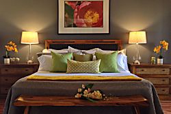 Dancing Dolphins Point